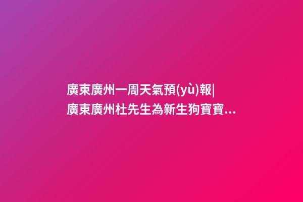 廣東廣州一周天氣預(yù)報|廣東廣州杜先生為新生狗寶寶取名智慧型套餐-第1張-公司起名-玄機(jī)派